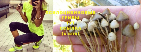 бошки Семилуки