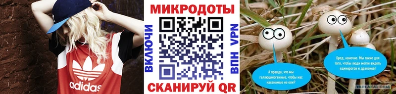 Галлюциногенные грибы прущие грибы  Каменка 